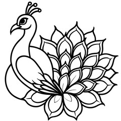 Elegant Peacock Flower Illustration