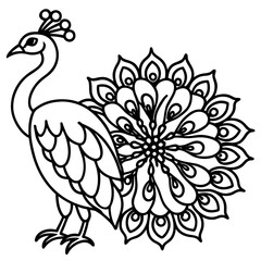 Elegant Peacock Flower Illustration