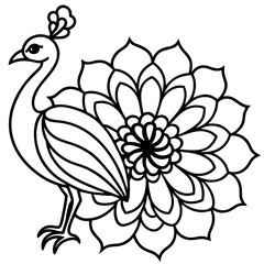 Elegant Peacock Flower Illustration