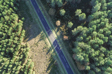 An Aerial Top Down View of a Road Through a Forest. Concept A journey through nature.