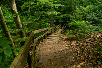 Fototapeta premium Hiking Trail