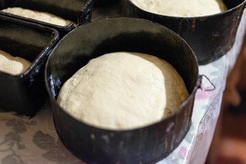 Traditional Easter bread dough in mold before baking