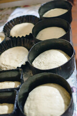 Traditional Easter bread dough in baking molds before oven