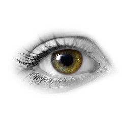 Face of young woman with green eyes, close up