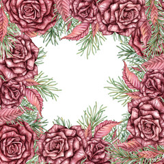 Burgundy roses, pine branches, cones, feather, dry twigs and dried flowers frame watercolor illustration. Suitable for Christmas and New Year decor. Banner isolated from the background.