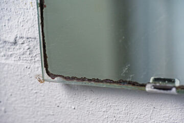 Old glass cover mirror with rusty metal edges and dried spider on white wall