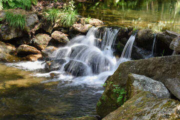 waterfall in the forest