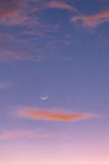 Sliver blue hour moon as it rises over the horizon..