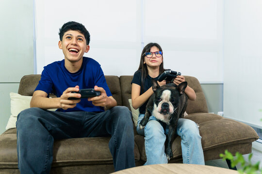 Latin american siblings playing videogames with their french bulldog on the sofa