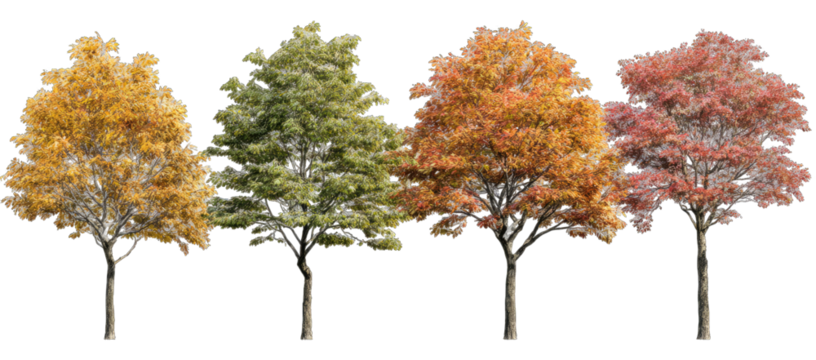 Autumnal trees showcasing seasonal foliage changes