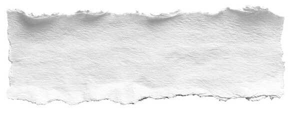 A ripped piece of white paper.  Rough edges,  plain surface