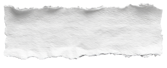 A ripped piece of white paper.  Rough edges,  plain surface