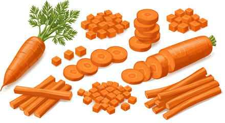 High-quality vector PNG illustrations of whole carrots, diced carrots, sliced carrots, and carrot sticks, perfect for culinary websites, healthy food blogs, and cookbook designs.