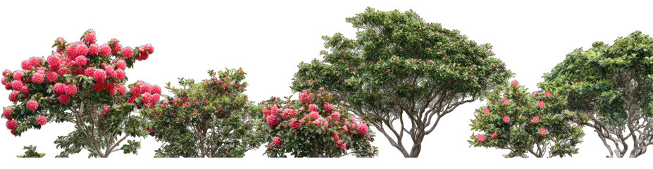 Lush, vibrant bushes and trees