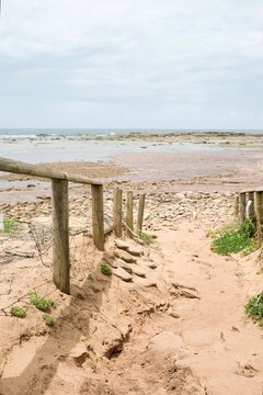 Long Reef Point at low tide, with sandy walkway (lined with native grasses, pigface and coastal rosemary) leading down to chocolate shale bedrock - Collaroy, Sydney, New South Wales, Australia