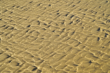 Texture of sand at low tide