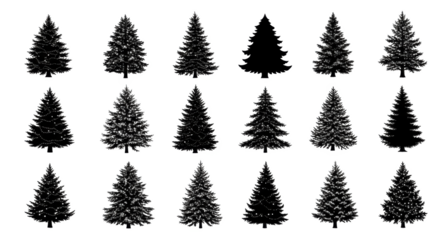 Collection of Eighteen Evergreen Fir Trees Silhouettes