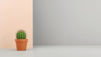 Fototapeta premium Spiky Green Plant, Modern Studio Shot