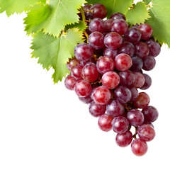 Fototapeta premium Juicy Red Grapes with Lush Green Leaves A Fresh Harvest