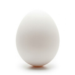 A single, pristine white chicken egg, its smooth shell and perfect oval shape in sharp focus copy