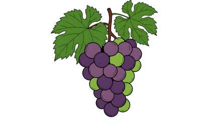 Fototapeta premium Illustration of Purple and Green Grapes with Leaves on White Background