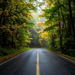 Fototapeta premium Autumnal forest road