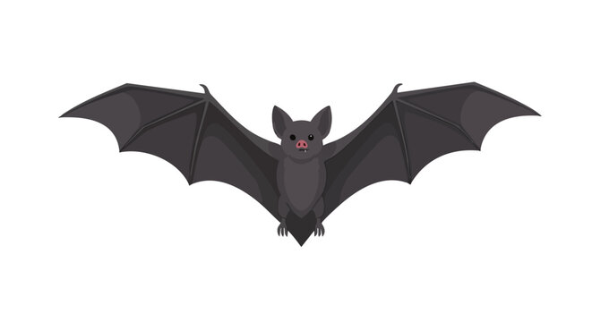 Cartoonish depiction of a gray bat with outstretched wings flying in a cartoon vector illustration style