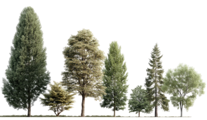 Row of diverse trees in a park-like setting.  Soft, muted colors, varying foliage