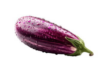 A single purple eggplant covered with water droplets