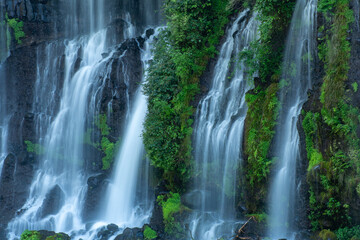 Obraz premium 白糸の滝