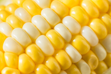 Raw Organic Sweet Corn on the Cob