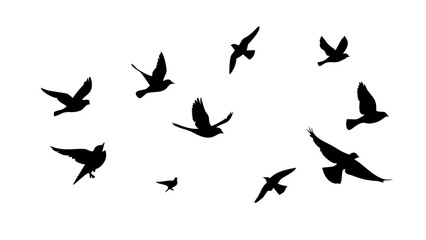 Silhouette of a flock of birds flying in the sky, a symbol of freedom and migration, a simple and elegant design element for various projects