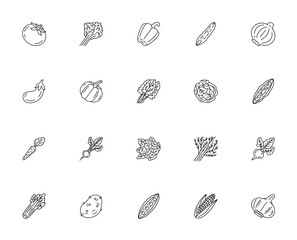 Vegetables icon set. Minimalist vector illustration. Includes symbols for tomato, parsley, pepper, cucumber, onion, eggplant, pumpkin and more. Editable stroke.
