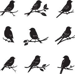 Birds Sitting on Tree Branches Silhouettes