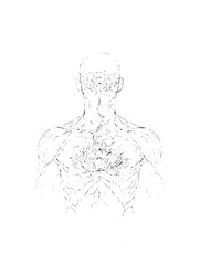 Chakra system art spiritual energy centers illustration spiritual healing, meditation, and holistic wellness through chakra alignment