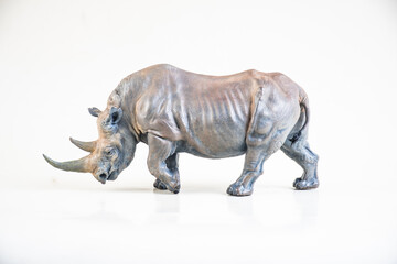 Obraz premium black rhino on isolated background