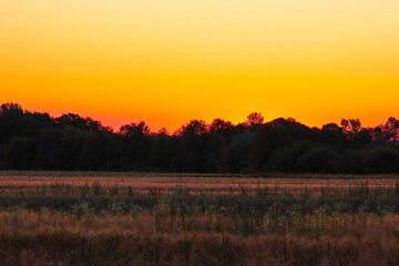 Sunset over a rural field. The golden and orange sky creates a dramatic backdrop for the silhouettes of trees. This atmospheric shot conveys a sense of calm and the end of the day.