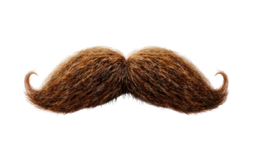 A detailed, light brown handlebar mustache against a black background.  The mustache's texture is apparent, with individual hairs shown