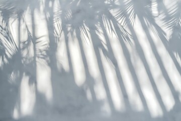 Palm leaf shadows on white wall-Soft shadows of palm leaves and window blinds cast on a white surface, creating a minimal and tropical abstract background.