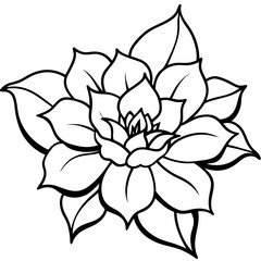 Clean Vapor Blossom Illustration