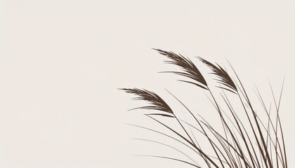 Minimalist image of elegant tall dried grass blades with wispy feathery plumes on a plain neutral background for nature, serenity, and simplicity themes