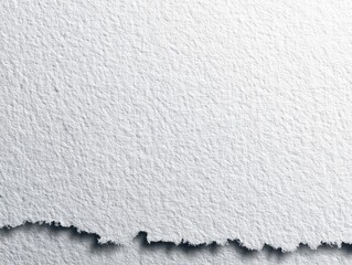 White textured paper with a torn edge