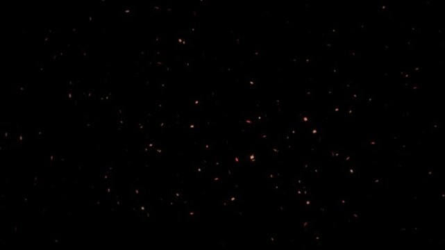 Dark red and black background.