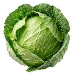 Obraz premium Cabbage isolated on transparent background