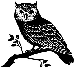 Silhouette of owl bird 