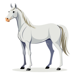 Obraz premium Elegant white horse standing with a flowing mane and tail