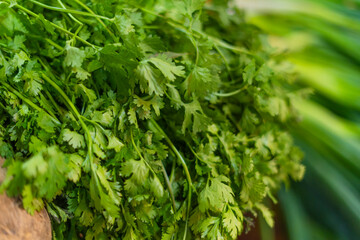 Coriander leaves close-up. Green background