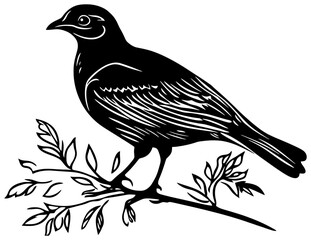 Silhoutte of quail bird
