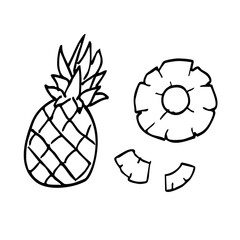 シンプルな線画のパイナップルイラスト