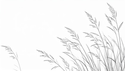 Obraz premium Minimalist black and white illustration of delicate grass blades swaying in the breeze with subtle shadows and fine details on a clean background